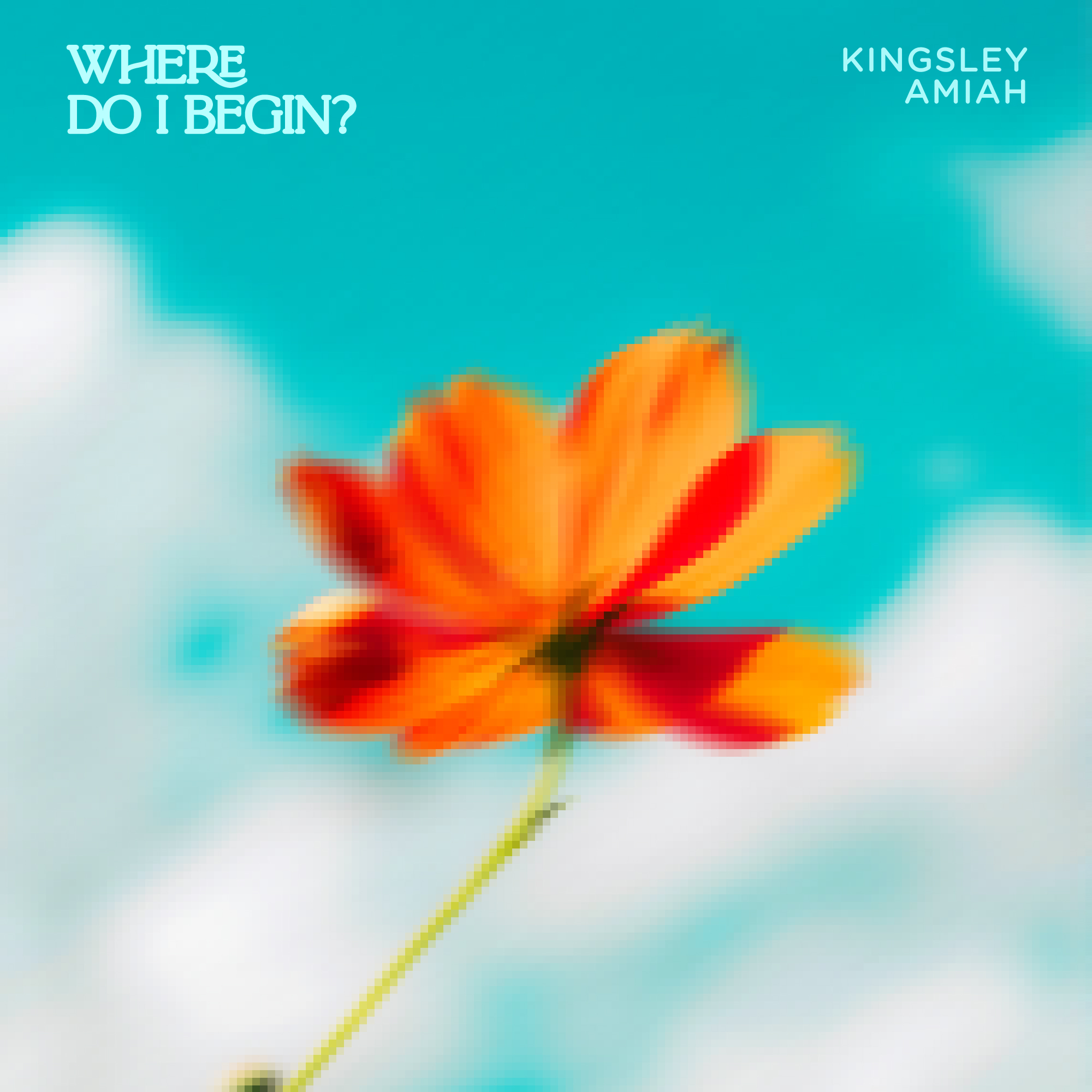 WDIB Cover final